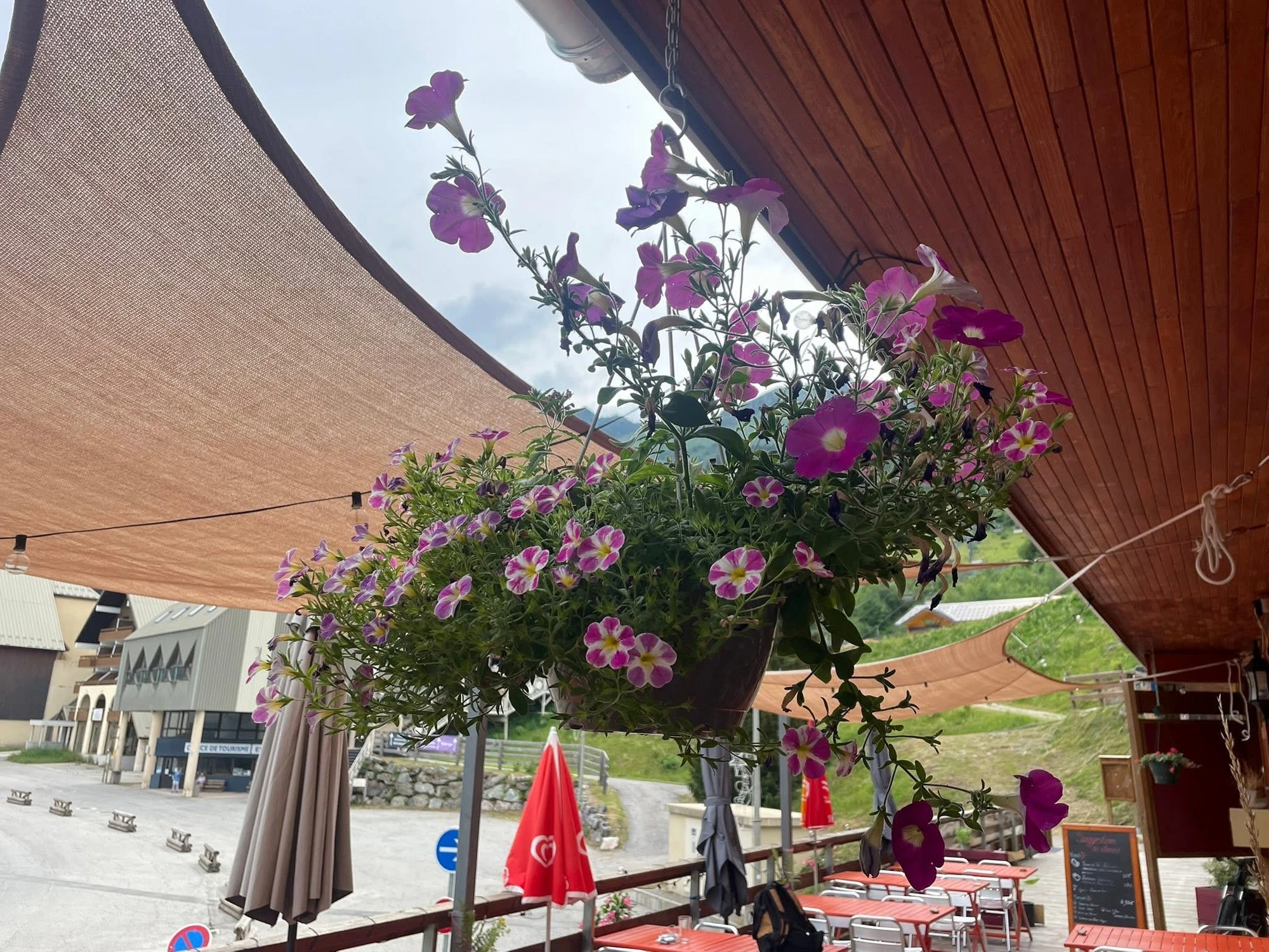 The flower-decked terrace in summer